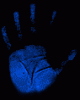 hand03